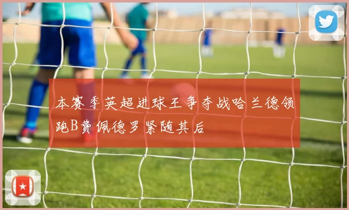 本赛季英超进球王争夺战哈兰德领跑B费佩德罗紧随其后