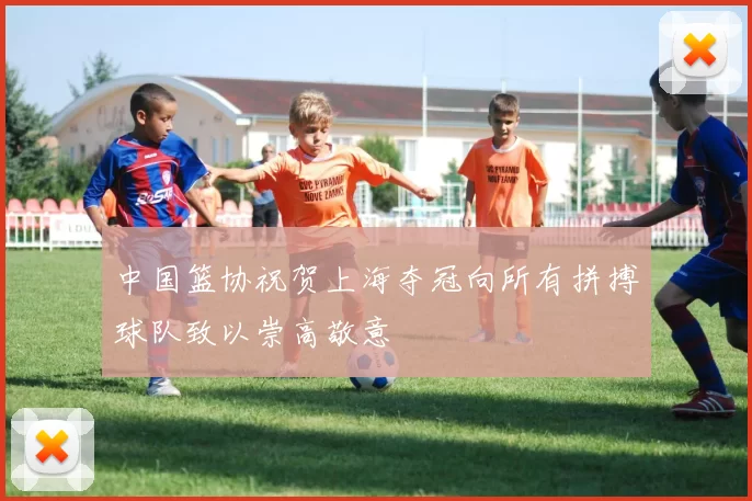 中国篮协祝贺上海夺冠向所有拼搏球队致以崇高敬意